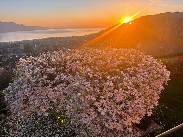 Montreux/Blonay/St Legier Amazing Views