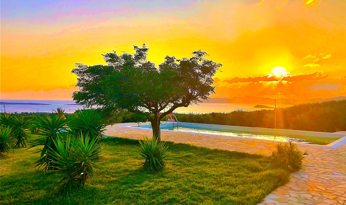 A serene sunset casts a golden hue over the landscape. A lush green lawn surrounds a sparkling pool, with palm plants flanking the area. A large tree provides shade while the sun sets over the sea in the background, highlighting the natural beauty of the surroundings.
