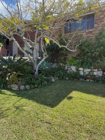 The Oceanic – Mimosas by the Sea gallery image 3