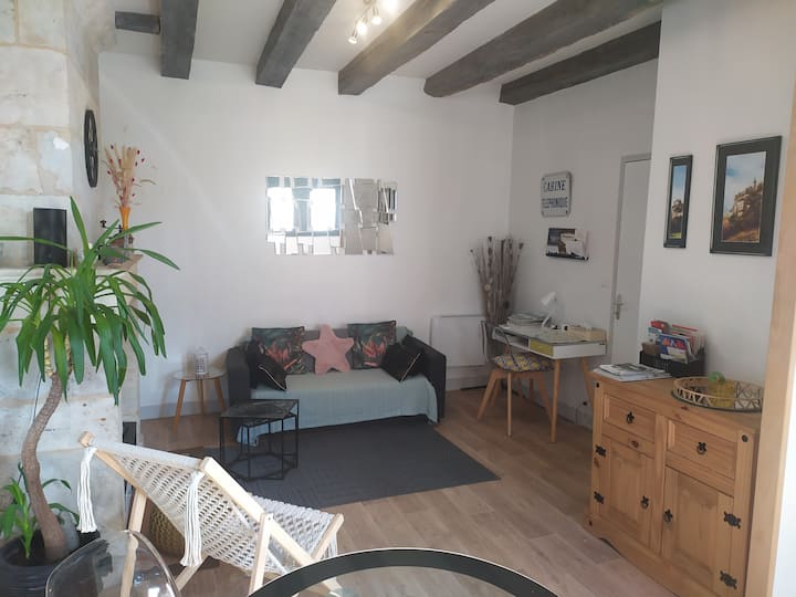 Appartement Classé Dans Un Immeuble D'époque - Mimos
