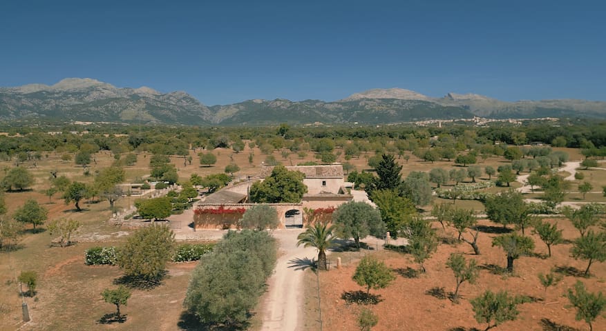 Historic Finca Nature, Charm & Total Privacy