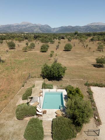 Historic Finca Nature, Charm & Total Privacy gallery image 5