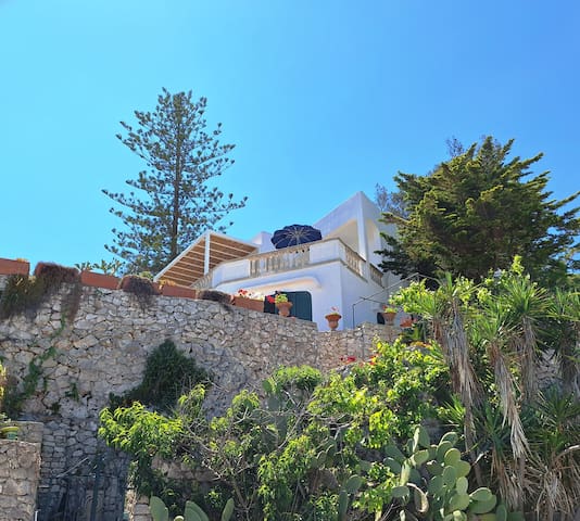 wonderful villa on Mediterranean