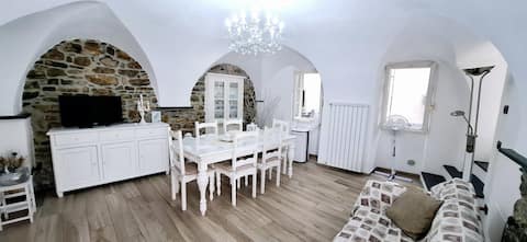 Taste of Provence - between the Sea and Olive Trees