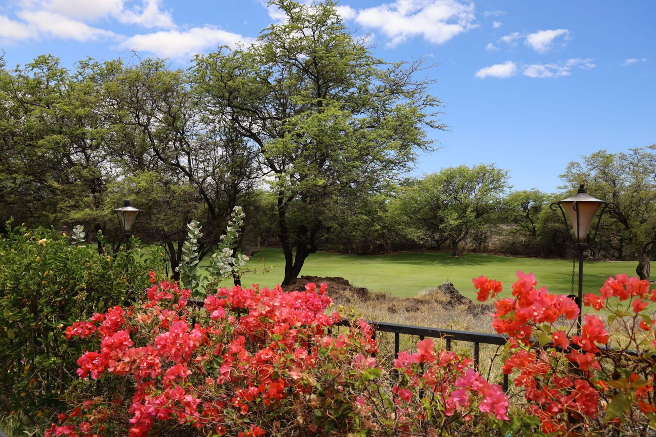 Home in Waimea · ★4.8 · 4 bedrooms · 8 beds · 3.5 baths - Image 11