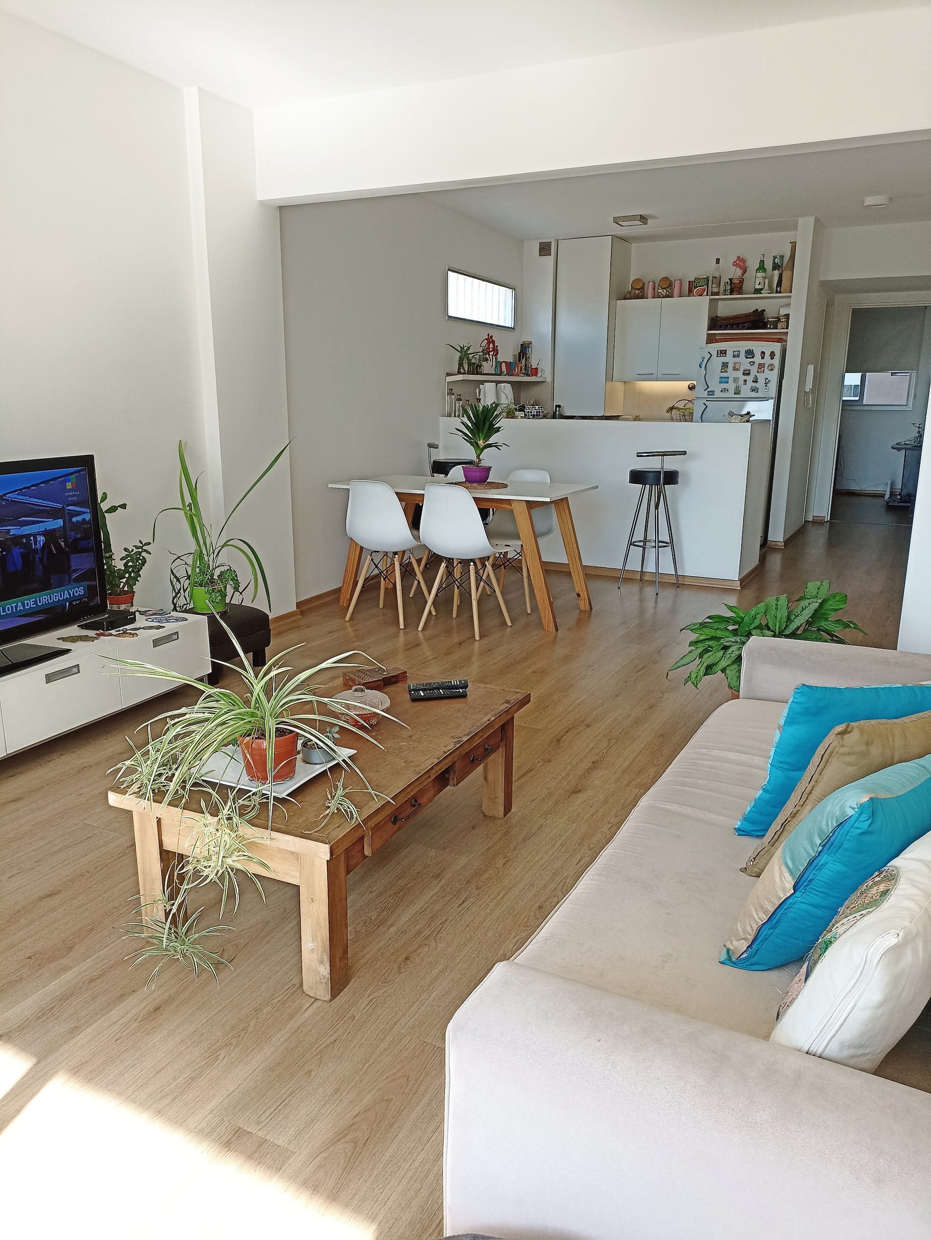 Room with private bathroom in Colegiales apartment