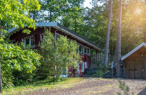 Luxury Villa in Bossen Appelscha Friesland Boshuis
