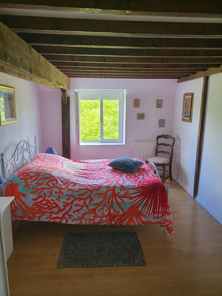 Habitación 1