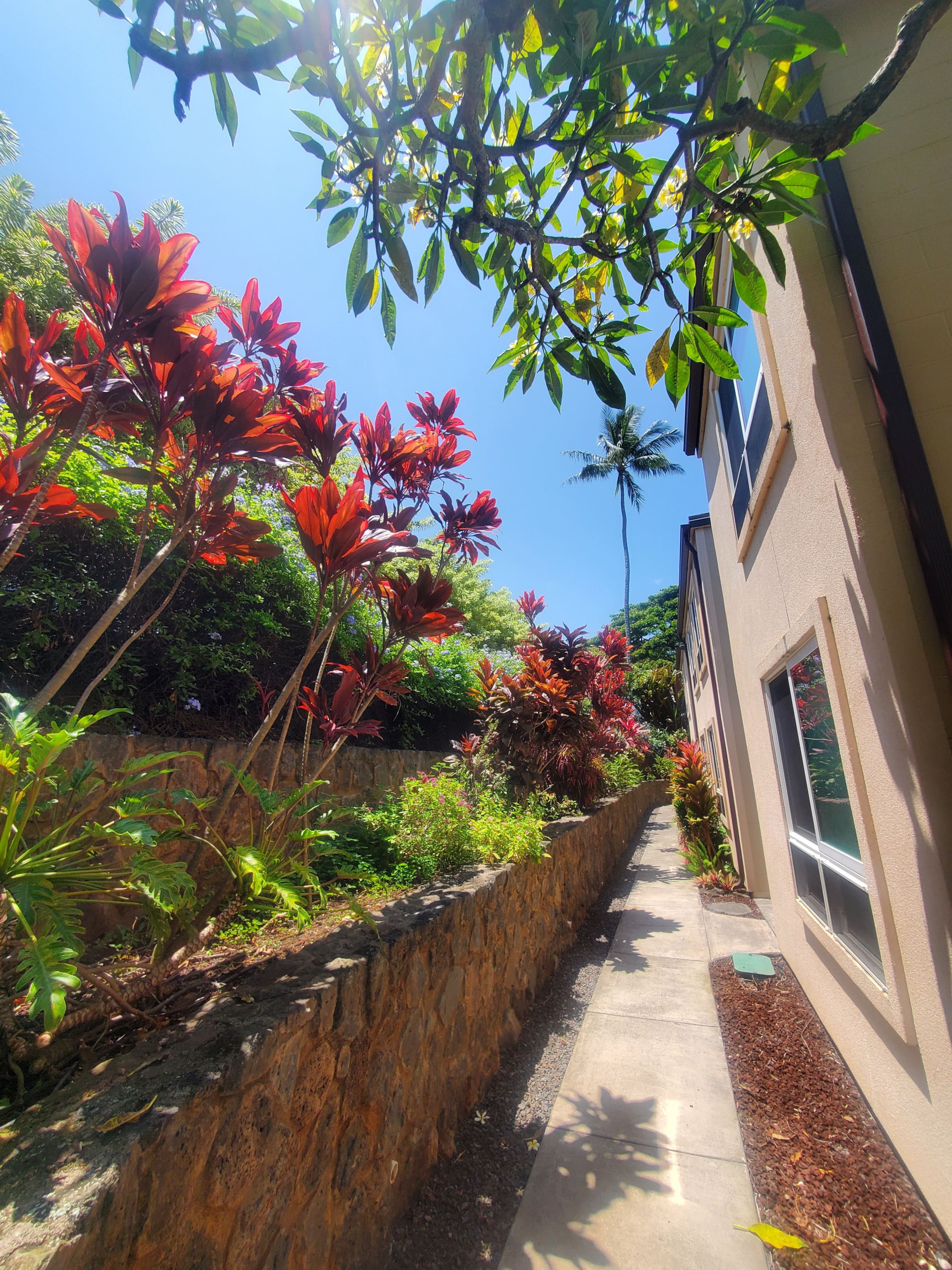 Condo in Lahaina · ★4.84 · 1 bedroom · 2 beds · 1 bath - Image 13