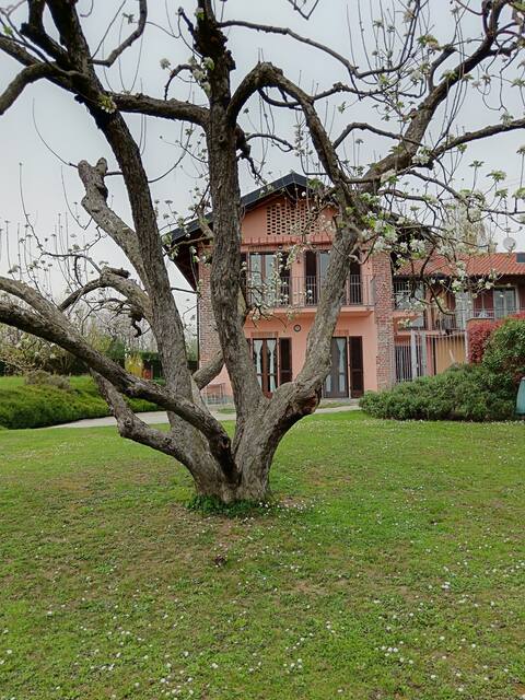 Studio on the shore of the small lake CIR 00101300001