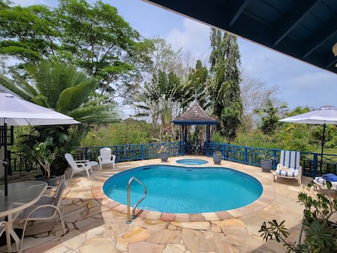 Mock Turtle is an Enchanting & Affordable Escape!