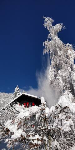 Chalet les Pavots gallery image 4