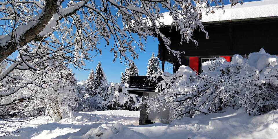 Chalet les Pavots gallery image 3