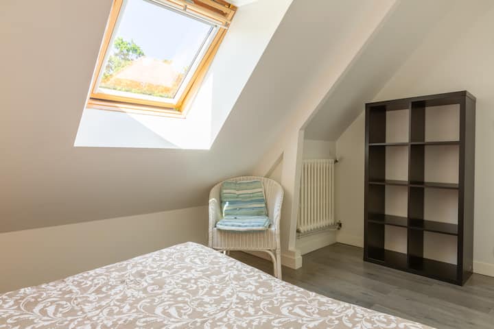 Habitación 6