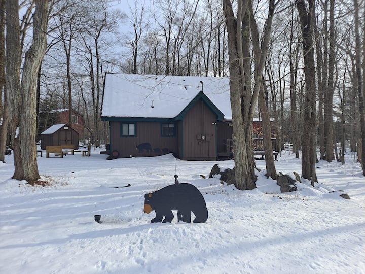 🐻The Poconos Rustic Cozy Bear Chalet PetFriendly Chalets for Rent in