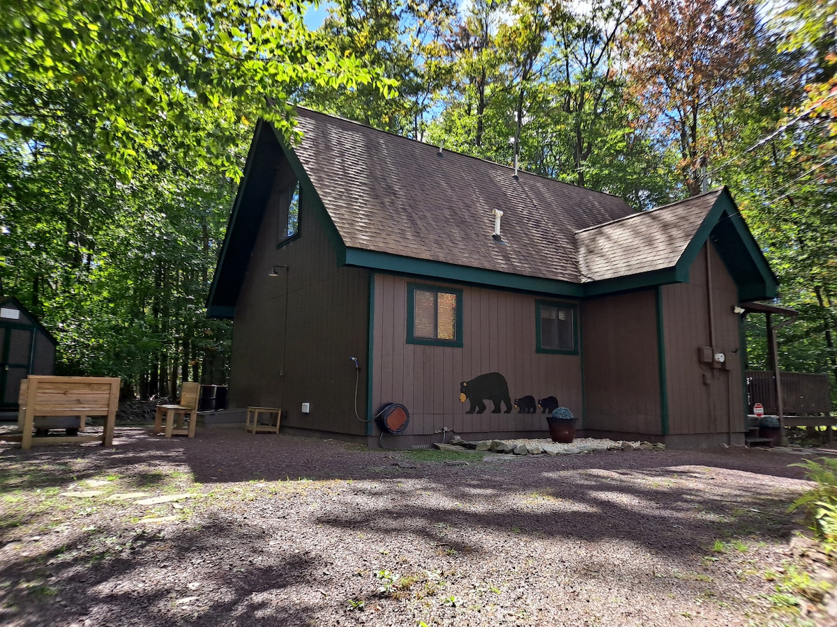 A chalet-style exterior is surrounded by lush greenery, featuring a bear mural on the wall. The sloped roof complements the natural setting, while a gravel driveway leads to the main entrance. A seating area made of natural wood is positioned outside for relaxation.