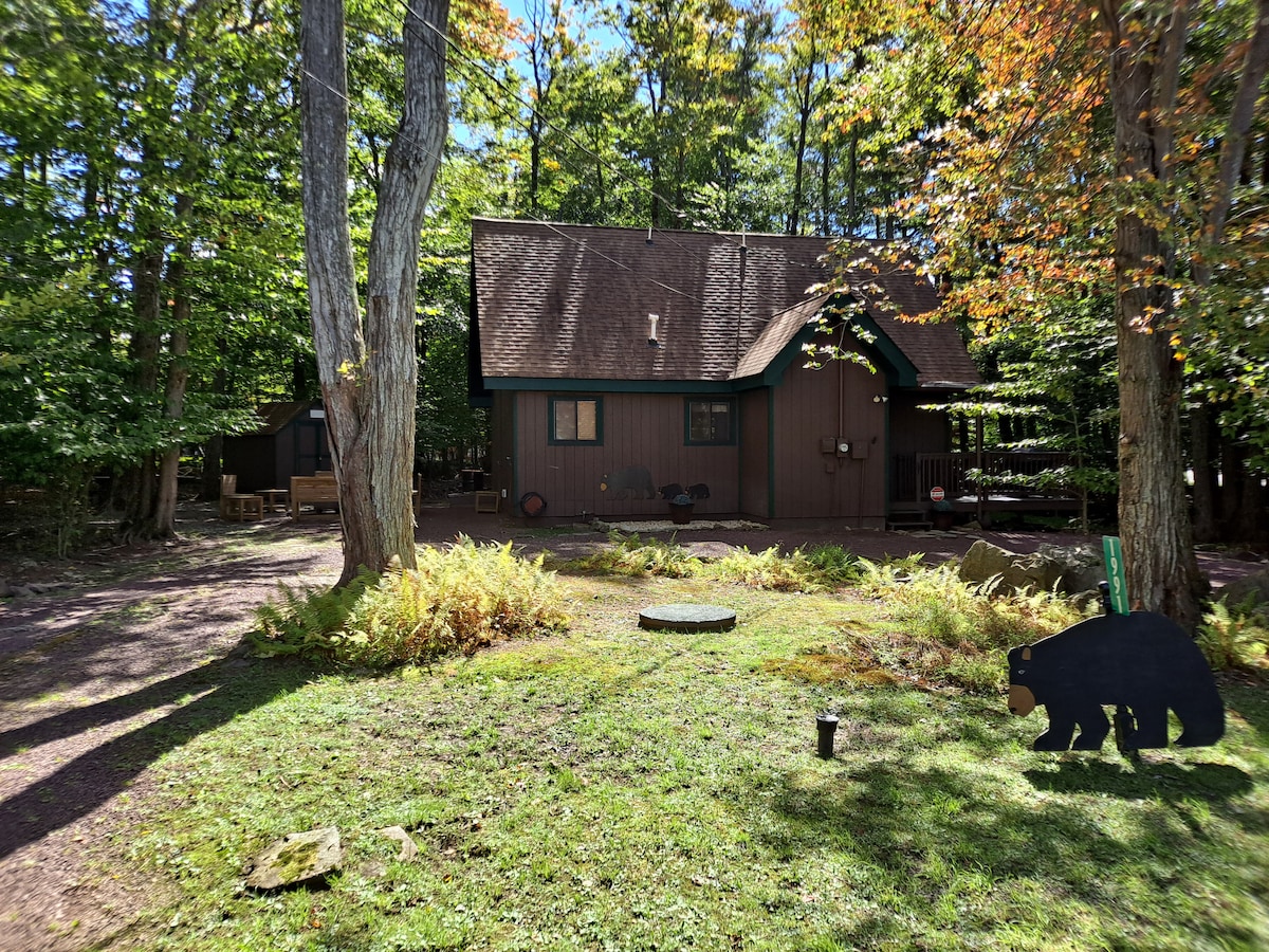 A wooden chalet is nestled among lush trees, with a sloping roof and dark brown exterior. A small bear silhouette marks the yard, which is adorned with green grass and ferns. Natural light brightens the area, creating a serene and inviting outdoor space.