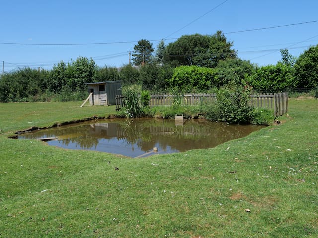 listing_image