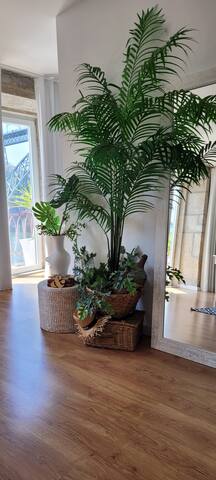 LUXUOSO T2 VISTA RIO E MONTANHA gallery image 3