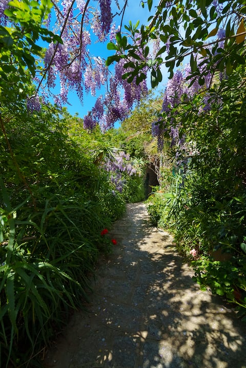 3-minute walk to the sea and private garden ELBA