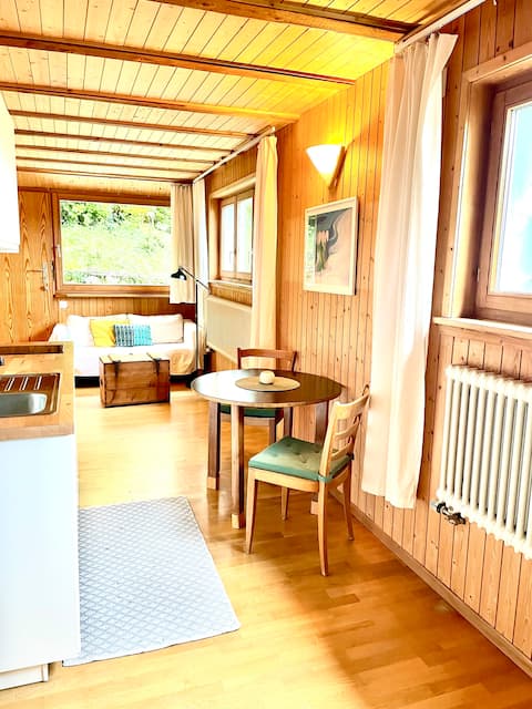 Studio apartment in a chalet in Dornach