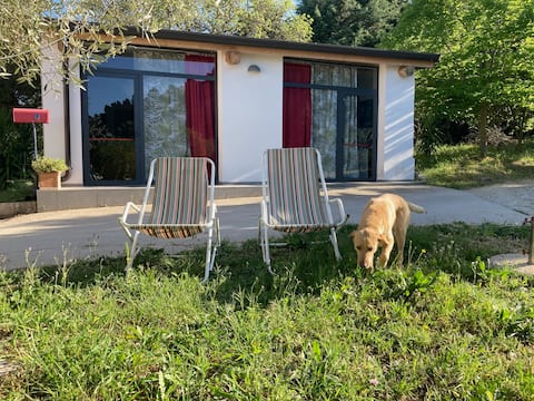 the house on the clouds