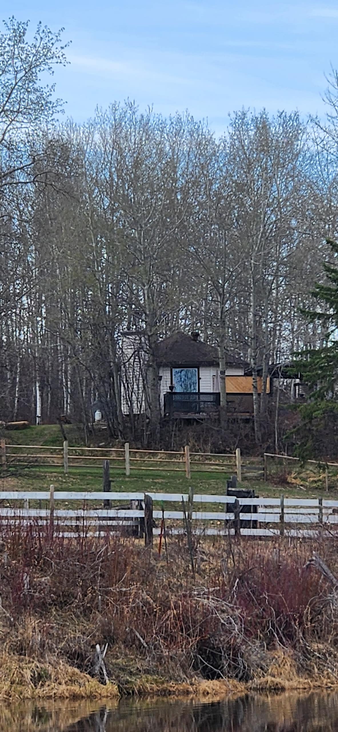 A cabin set against a backdrop of tall trees features an exterior with a mix of wood and siding. The surrounding area includes a grassy expanse and a wooden fence, bordered by a pond in the foreground. Natural elements create a serene environment.