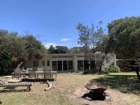 Pawradise on the Beach