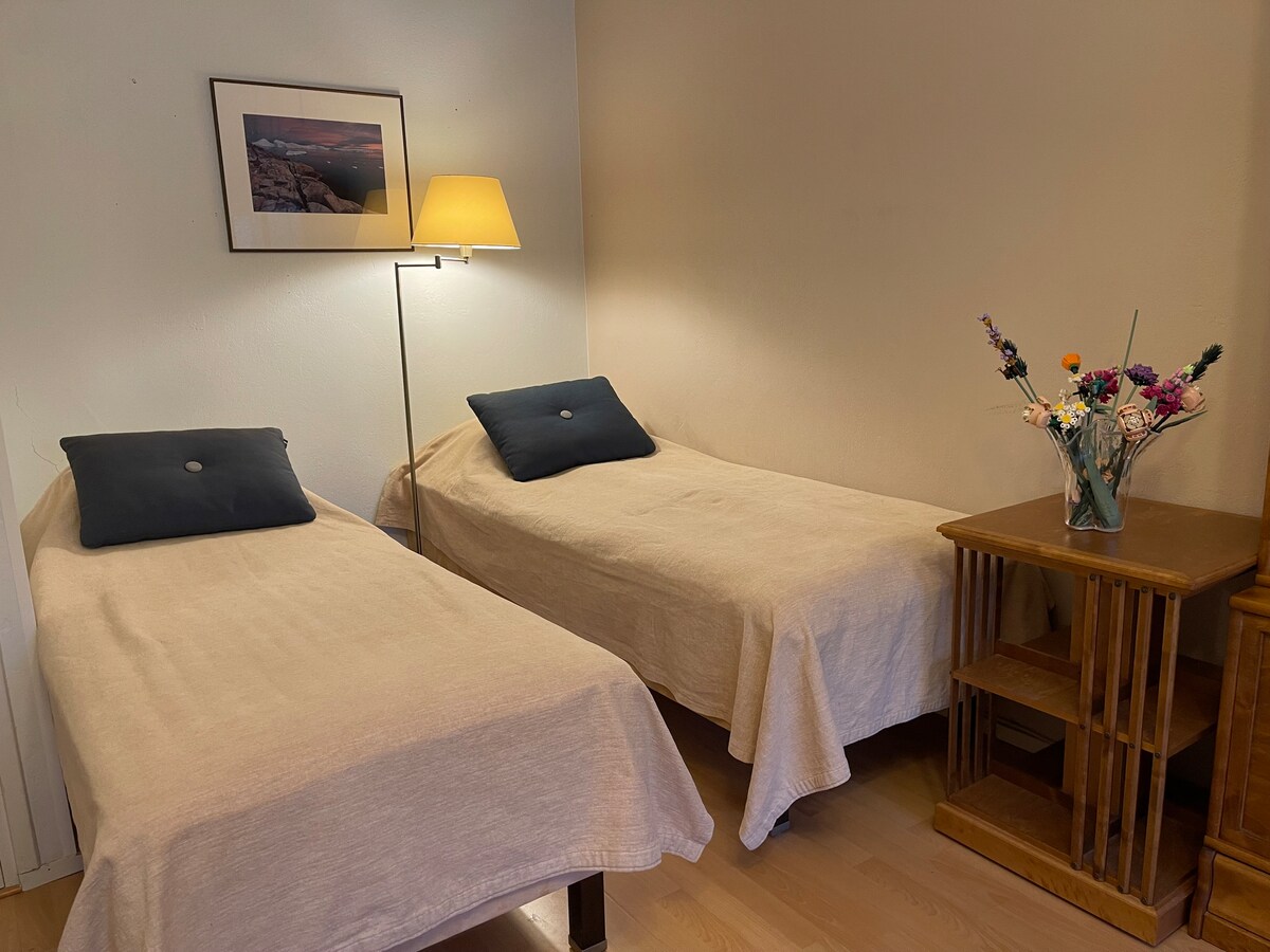 U dnevnom boravku nalaze se dva kreveta za jednu osobu (visokokvalitetni Unikulma kreveti 80 x 200 cm) - u dnevnom boravku nalaze se dva kreveta za jednu osobu (visokokvalitetni kreveti, brend Unikulma, 80x200cm)