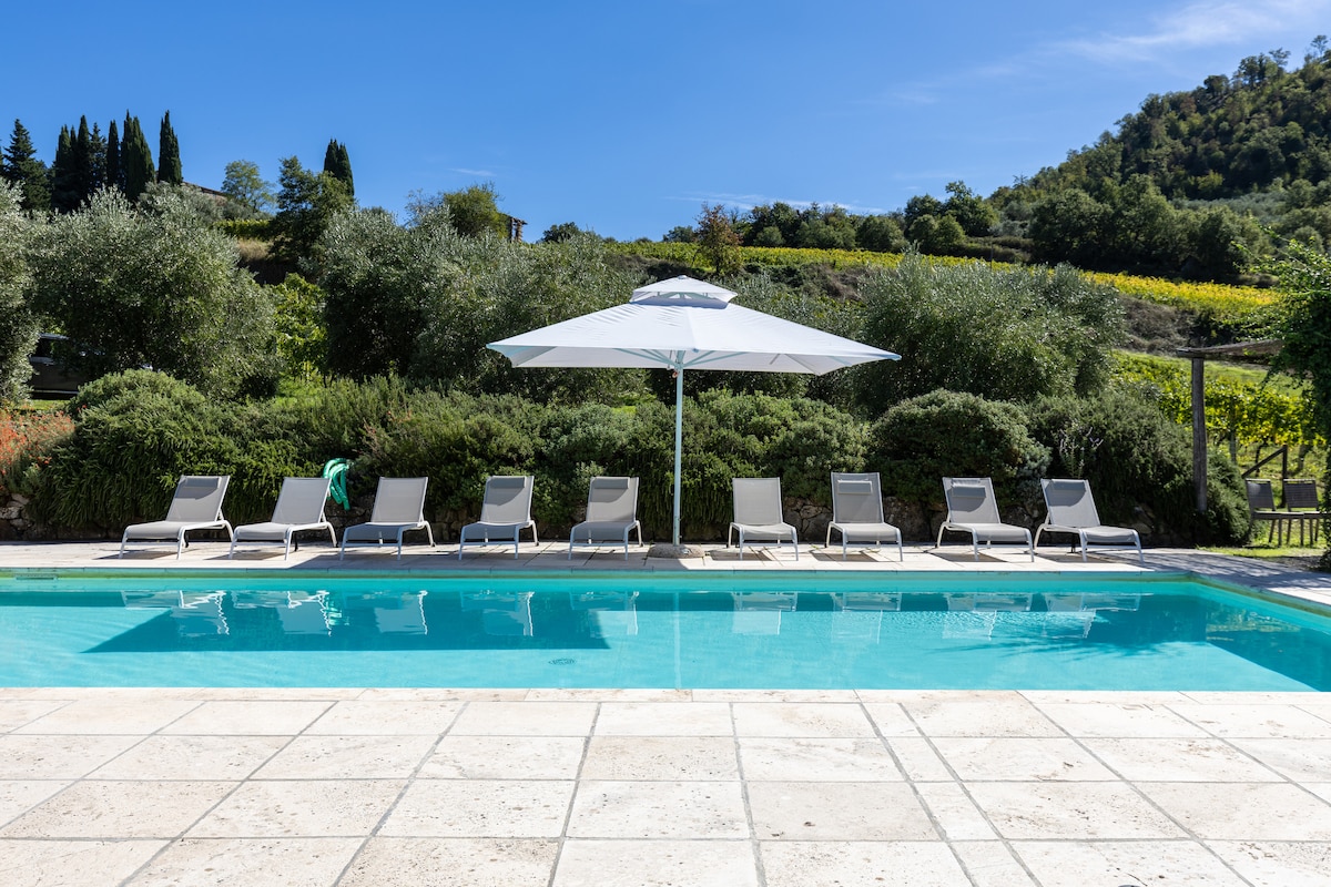 A tranquil pool area is surrounded by lush greenery and neatly arranged lounge chairs. An umbrella provides shade over the poolside seating, while the clear water reflects the blue sky. In the background, rolling hills with vineyards complement the serene landscape.