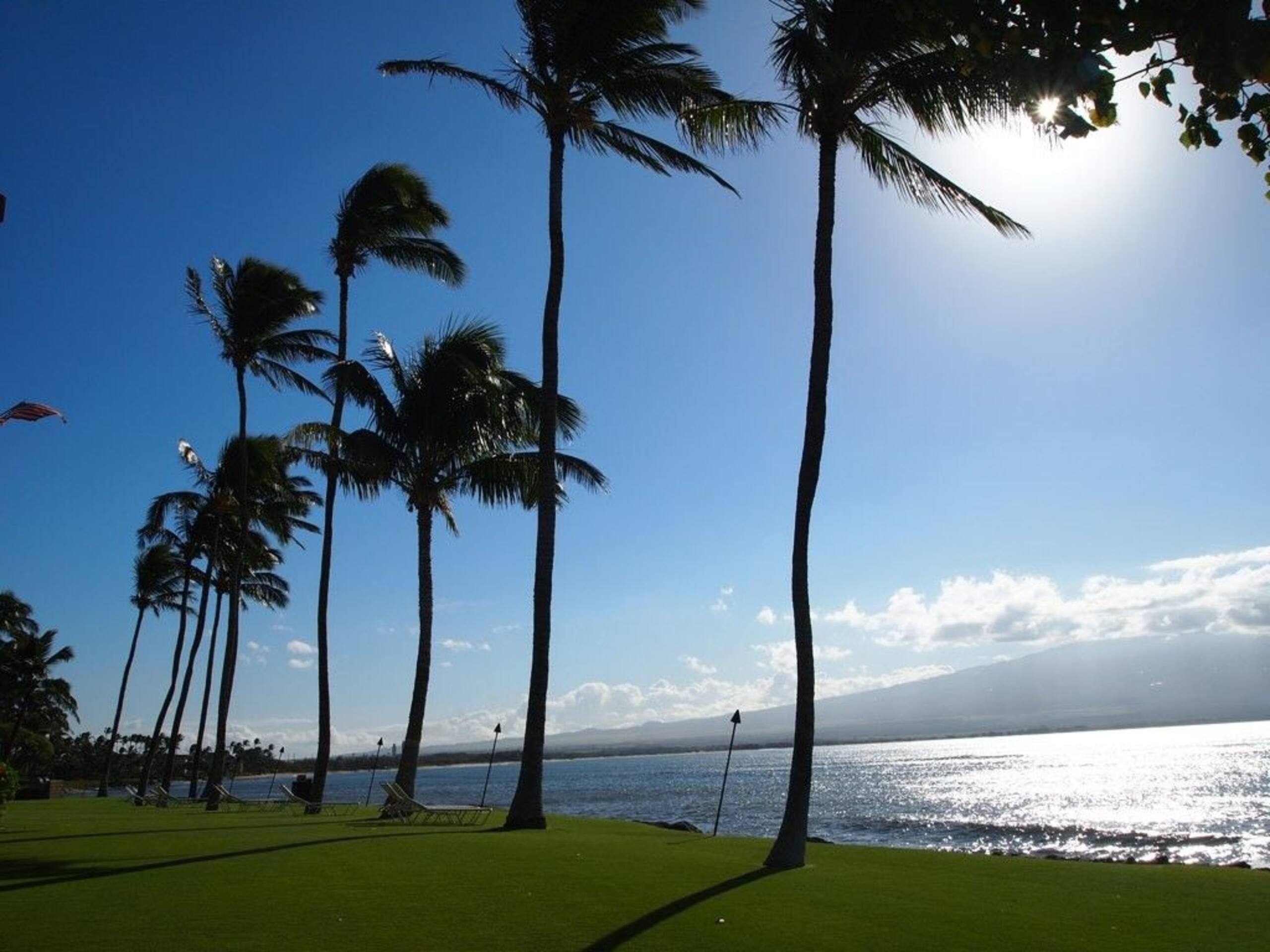 Condo in Wailuku · ★4.71 · 1 bedroom · 3 beds · 1 bath - Image 23