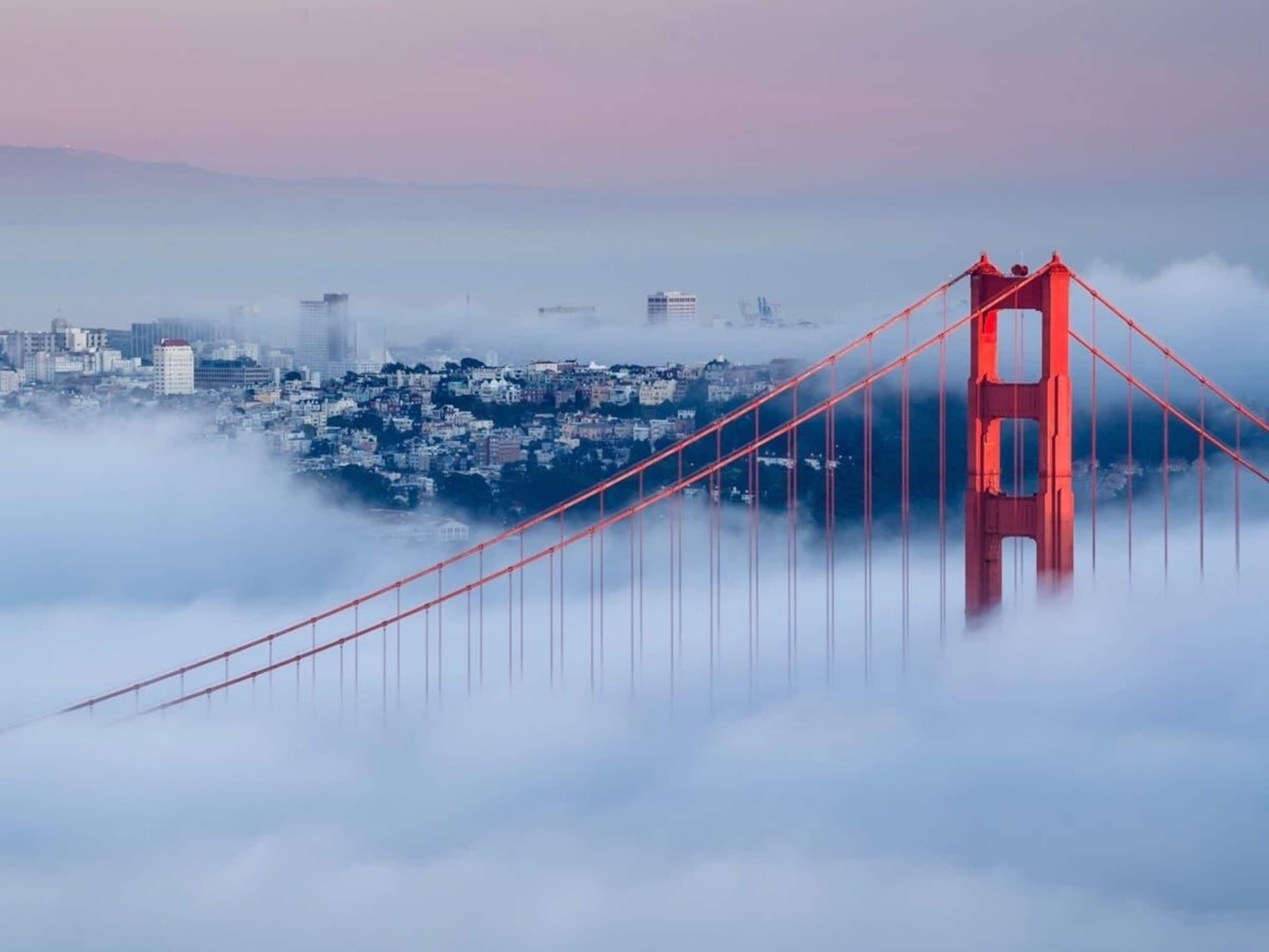 Home in San Francisco · ★4.99 · 2 bedrooms · 2 beds · 1.5 baths - Image 69