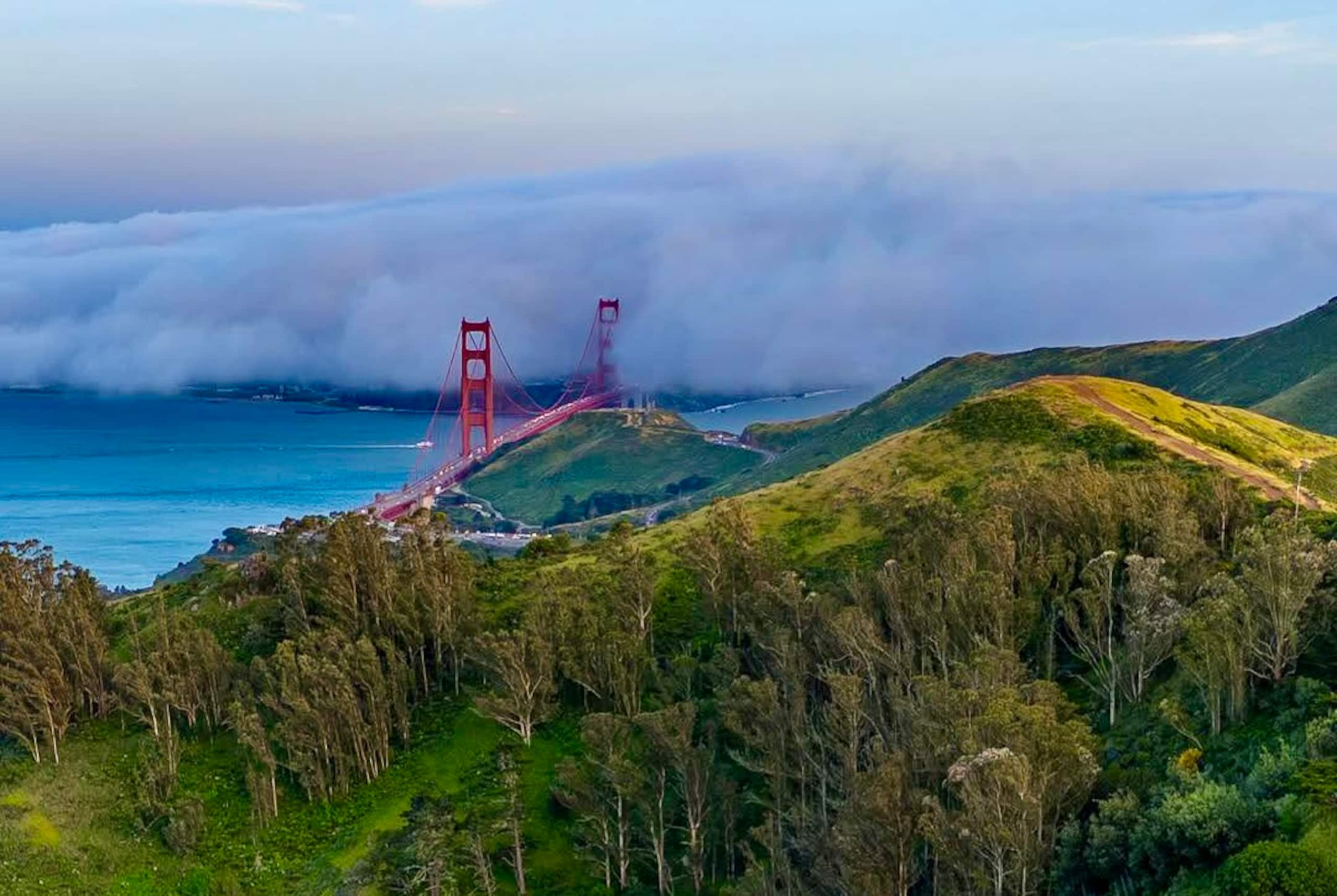 Home in San Francisco · ★4.99 · 2 bedrooms · 2 beds · 1.5 baths - Image 60
