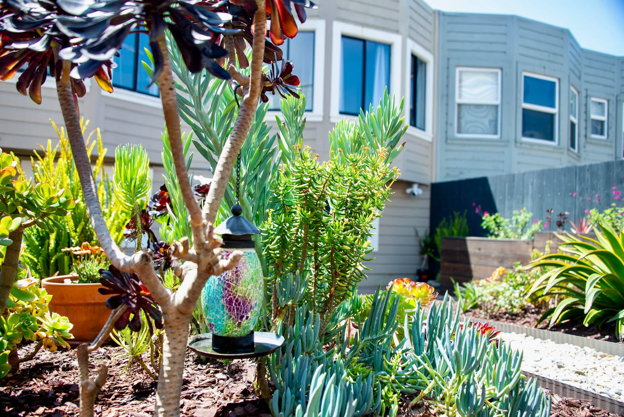 Home in San Francisco · ★4.99 · 2 bedrooms · 2 beds · 1.5 baths - Image 39