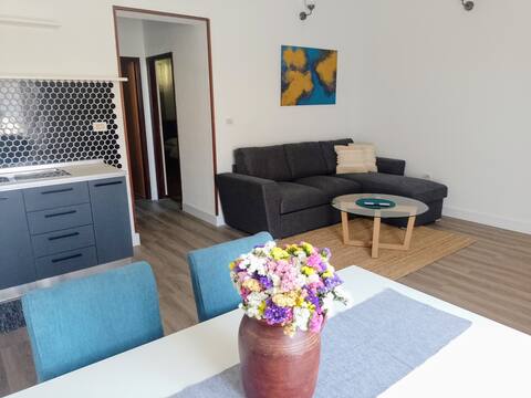 Successful Airbnb property: APP Martina 1 with balcony in Bašanija