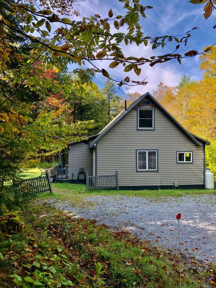 Private Cabin/PetsOK/Minutes to Okemo/AC/Fast Wifi