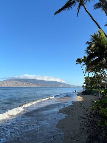 Whales and sunsets, front row seats every day! gallery image 4