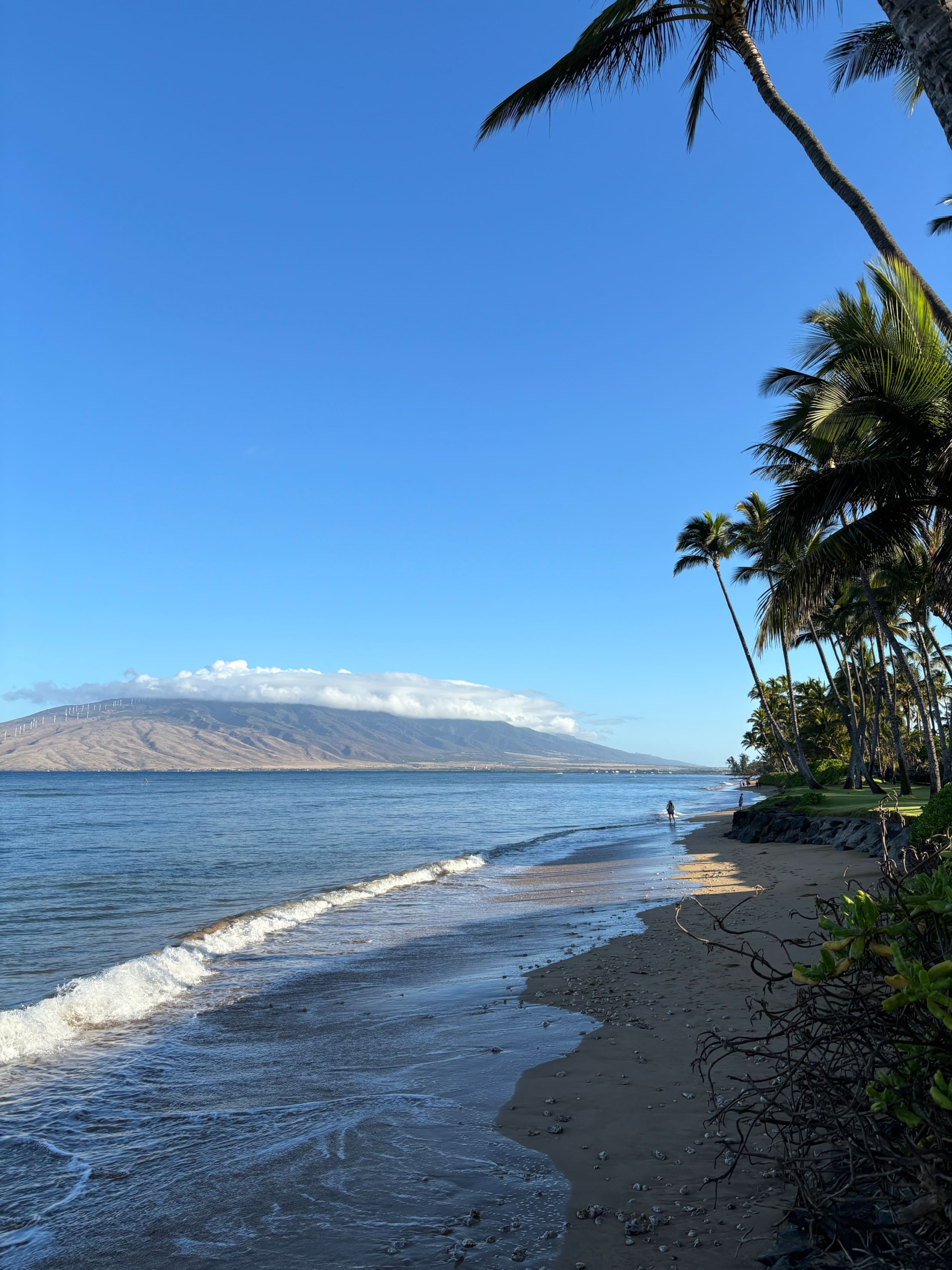 Home in Kihei · ★4.94 · 3 bedrooms · 4 beds · 2 baths - Image 15