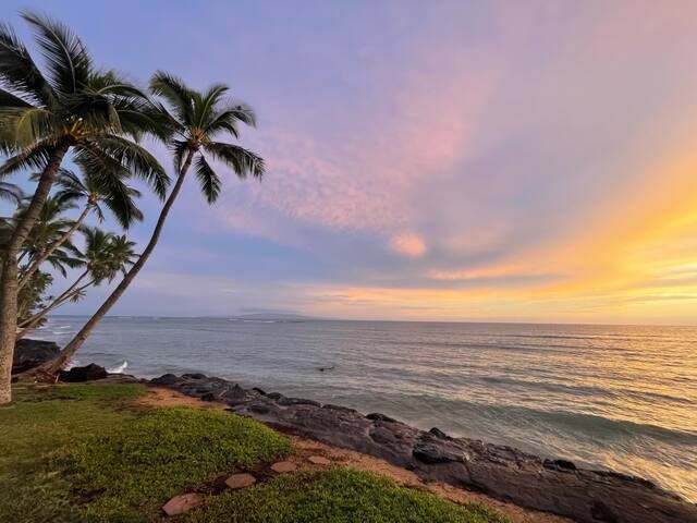 Whales and sunsets, front row seats every day! gallery image 2