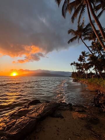 Whales and sunsets, front row seats every day! gallery image 5