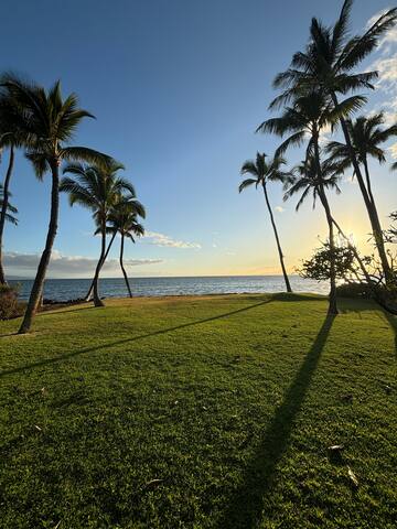 Whales and sunsets, front row seats every day! gallery image 3