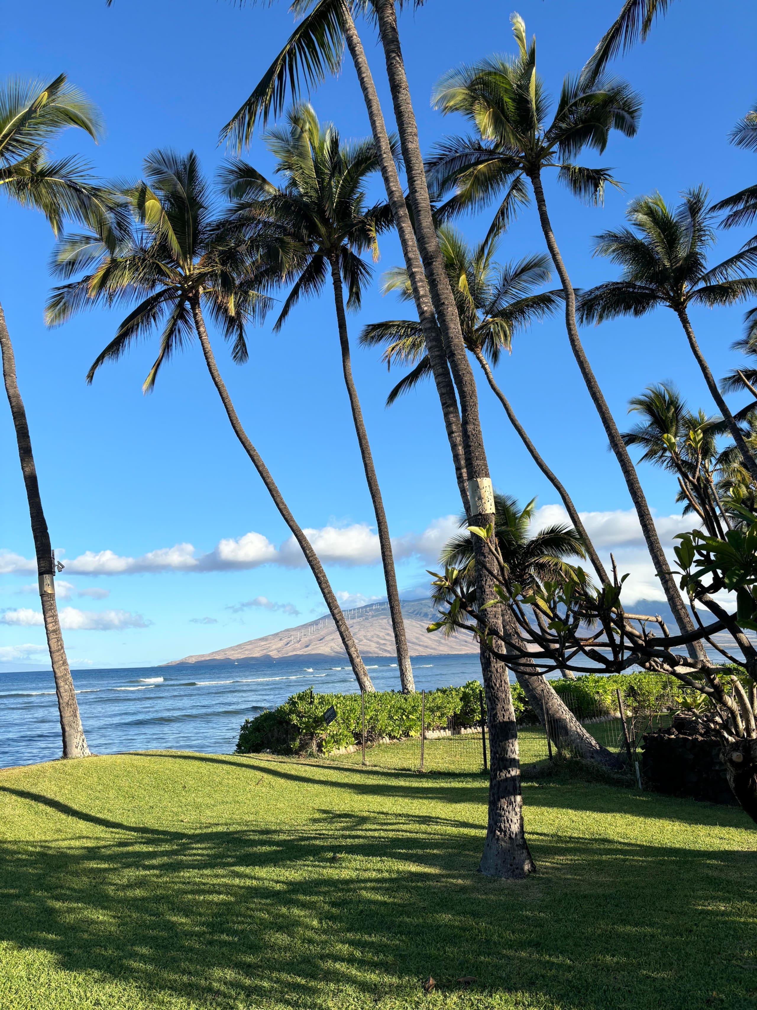 Home in Kihei · ★4.94 · 3 bedrooms · 4 beds · 2 baths - Image 17