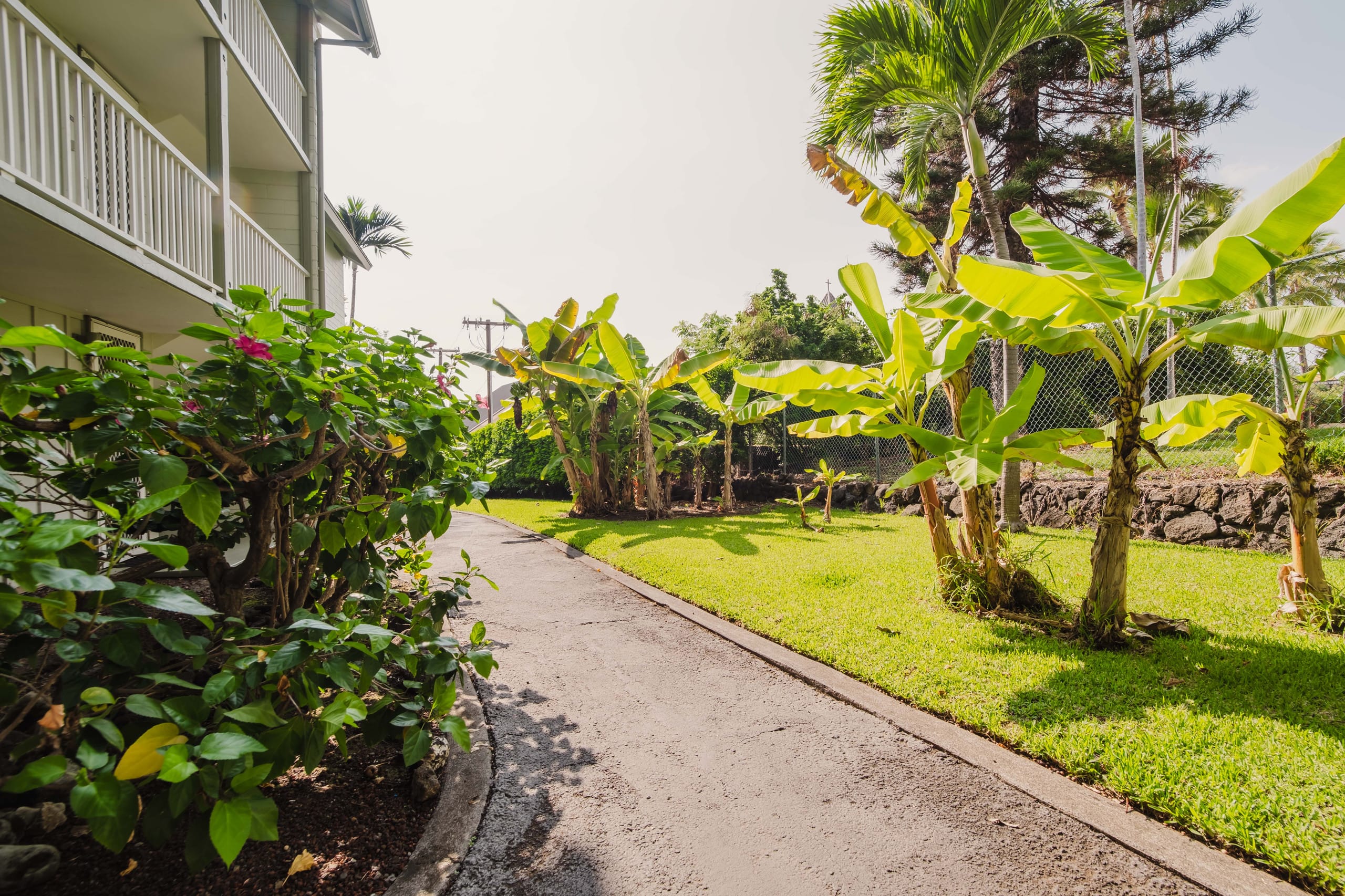 Condo in Kailua-Kona · ★4.79 · 1 bedroom · 2 beds · 1 bath - Image 43