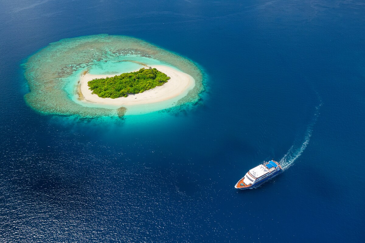 A cruise ship navigates the vibrant blue waters surrounding a secluded island. The island is characterized by lush greenery and pristine white sandy shores, providing a serene contrast to the vivid turquoise lagoon. The aerial view illustrates the tranquil beauty of the Maldives.