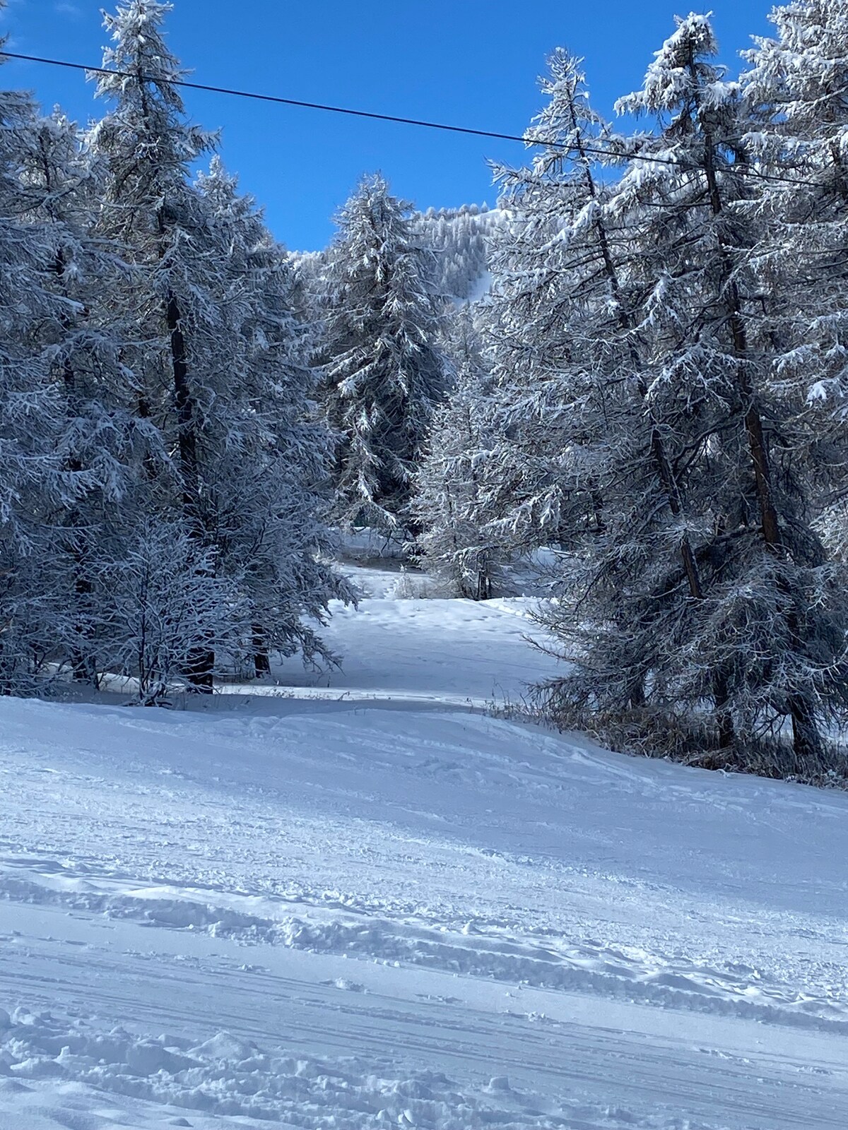 A snow-covered landscape is framed by tall, frosted trees, creating a serene pathway through the winter wonderland. The bright blue sky enhances the crispness of the scene, while soft sunlight glimmers off the fresh snow, inviting exploration in the tranquil, snowy environment.