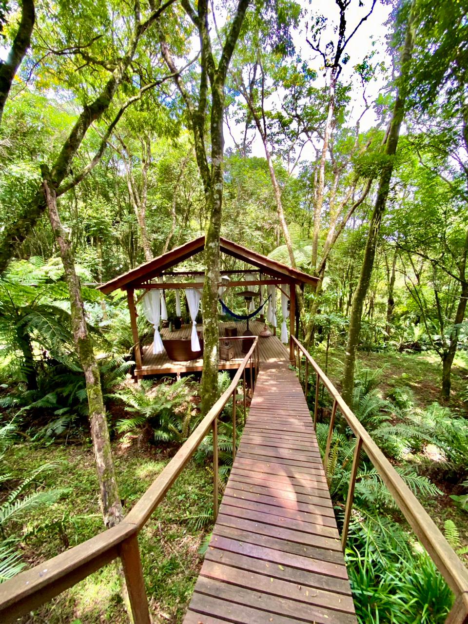 A wooden walkway leads to a secluded cabin nestled among tall trees and lush greenery. Soft drapes frame the open entrance to the cabin, while surrounding ferns create a serene atmosphere. The structural design harmonizes with the natural environment, inviting a sense of tranquility.