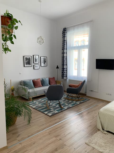 Successful Airbnb property: CHARMING CENTRAL APARTMENT in Cluj Napoca