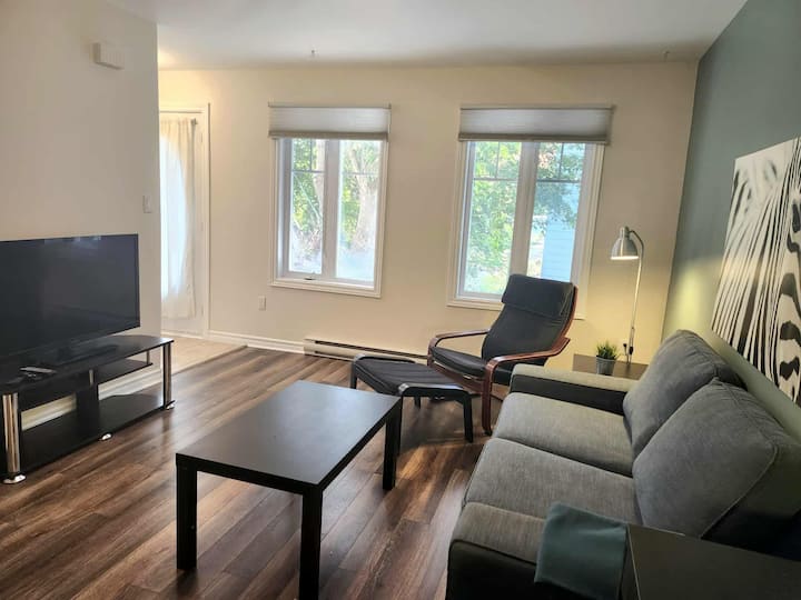 Large 2 Bedrooms In Downtown With Parking - Ottawa