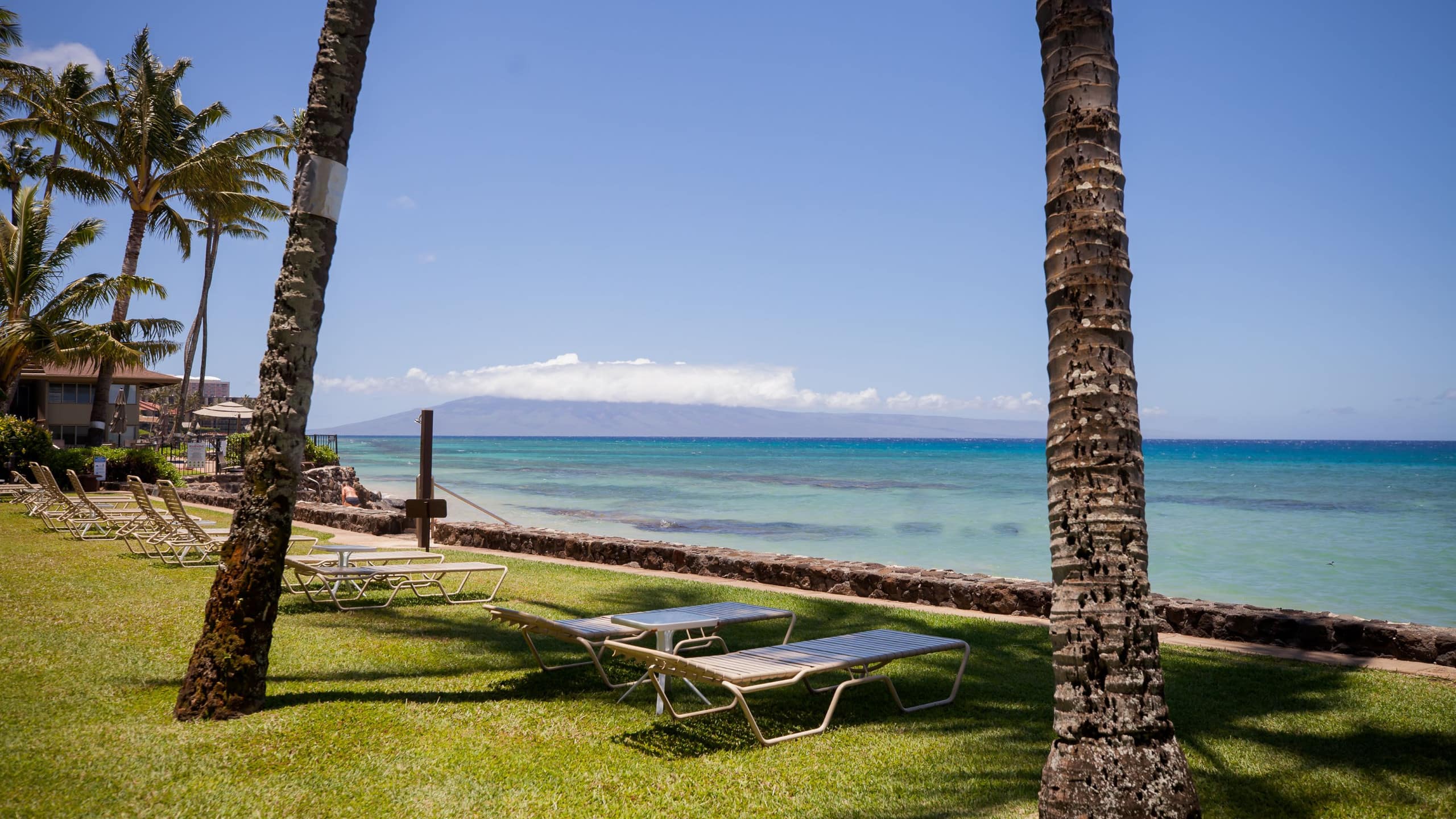 Condo in Lahaina · ★4.98 · 1 bedroom · 1 bed · 1 bath - Image 3