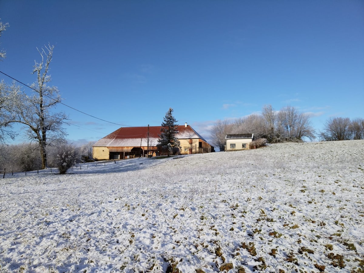 A snowy landscape features an old farmhouse with a red roof set against a clear blue sky, surrounded by frost-covered trees. A gently sloping field leads to the residence, providing a serene rural setting.